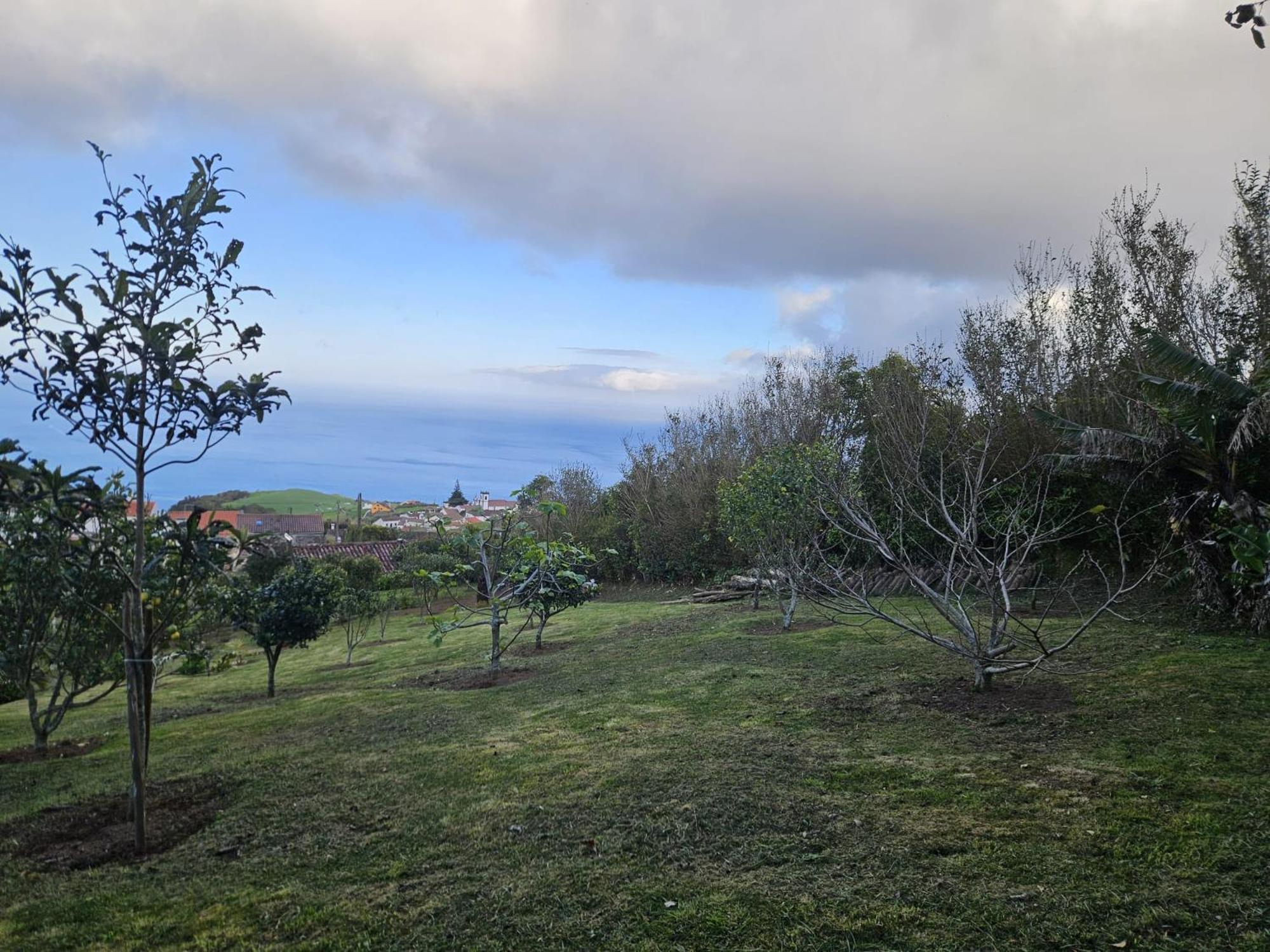 Casa Do Castanheiro - Nordeste, Acores Nordeste  Ngoại thất bức ảnh