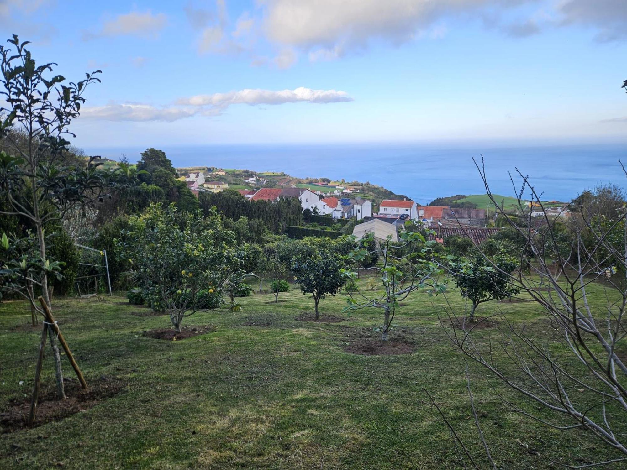 Casa Do Castanheiro - Nordeste, Acores Nordeste  Ngoại thất bức ảnh